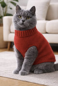 Cat Sweater Knitting Pattern PDF | Easy Pet Sweater Pattern XS–L