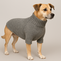 Dog Sweater Knitting Pattern PDF | Seamless Raglan Dog Sweater XS–XL